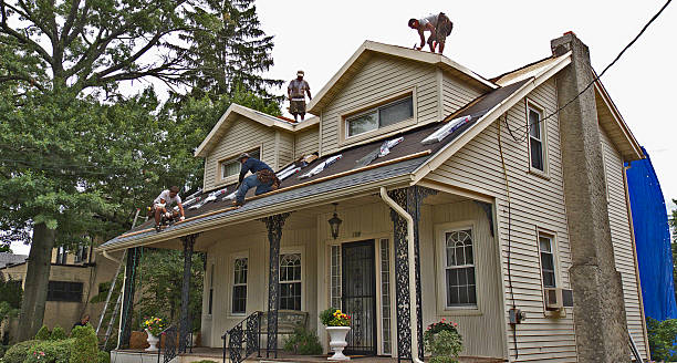 Best Residential Roofing Contractor  in Sault Ste Marie, MI